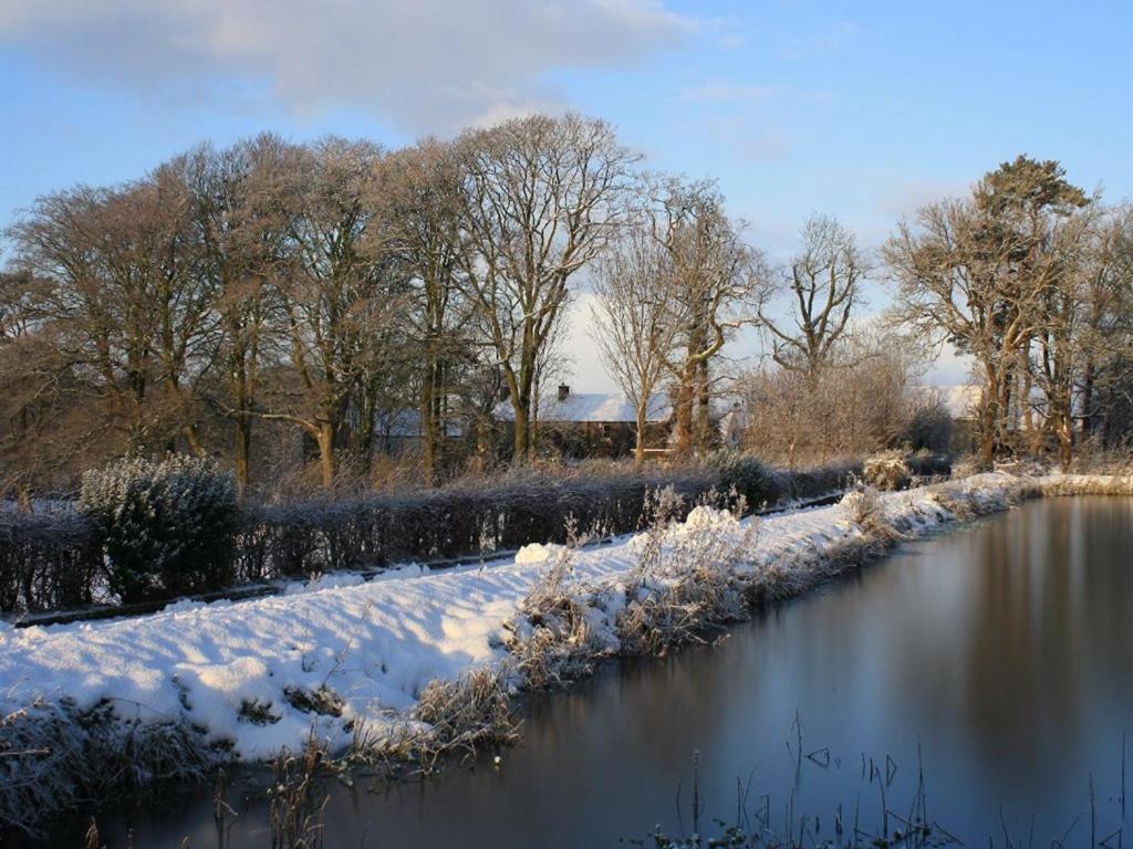 Ballylagan Organic Farm Straid  Exterior photo