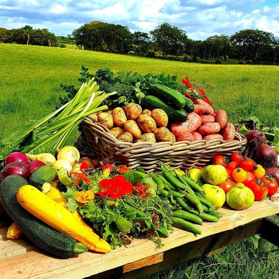 Ballylagan Organic Farm Straid  Exterior photo